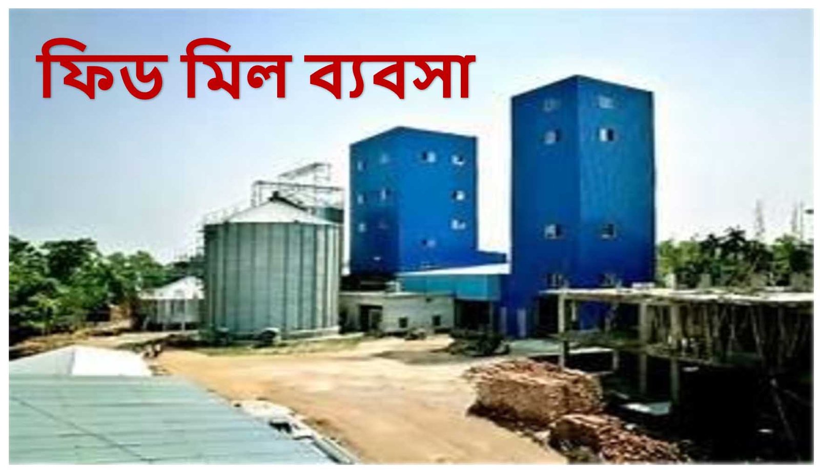 ফিড মিল ব্যবসা