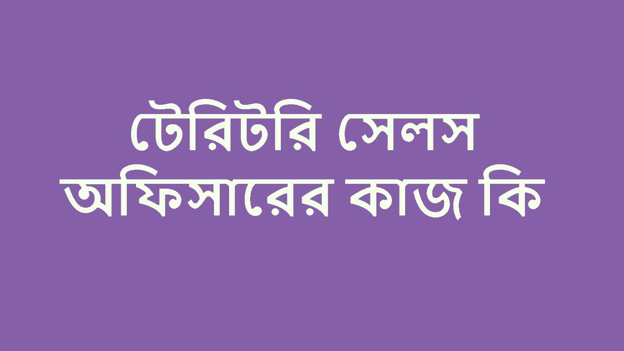 টেরিটরি সেলস অফিসারের কাজ কি