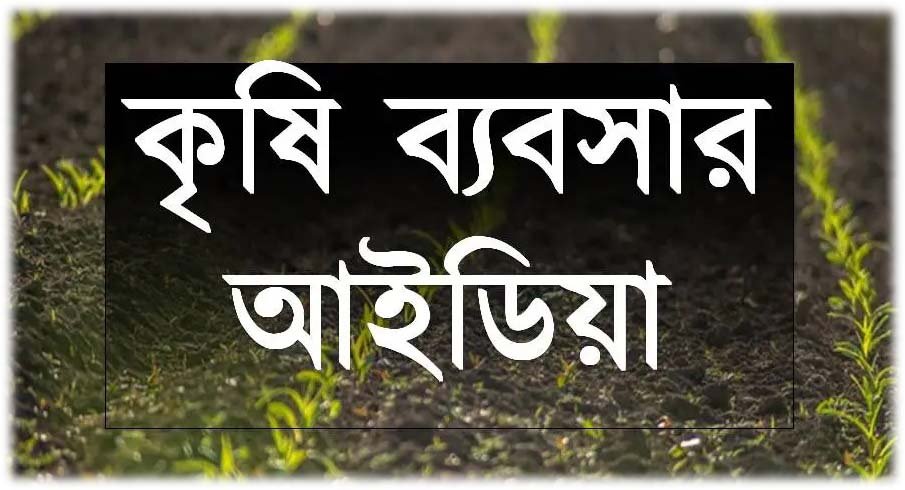 ১০টি লাভজনক কৃষি ব্যবসা আইডিয়া