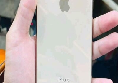 330995589_1589278208256473_3618245671941128135_n