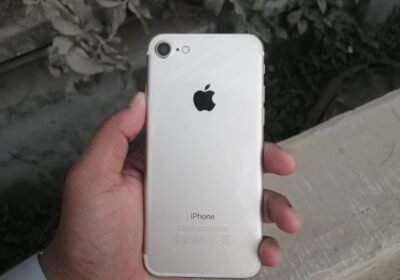 334303206_941531417199092_3974114236031780807_n