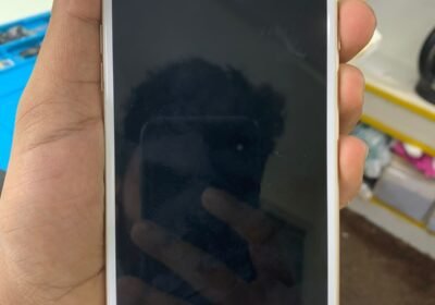 335432212_198182132909907_480956406211154379_n
