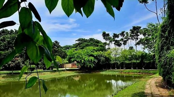 অরণ্যবাস রিসোর্ট এন্ড পিকনিক স্পট