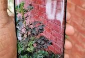 Lg Velvet 5g for sell