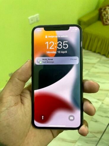 iPhone xs