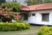 Vita World Hotel & Resort