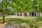 Syed Bari Resort , Gazipur
