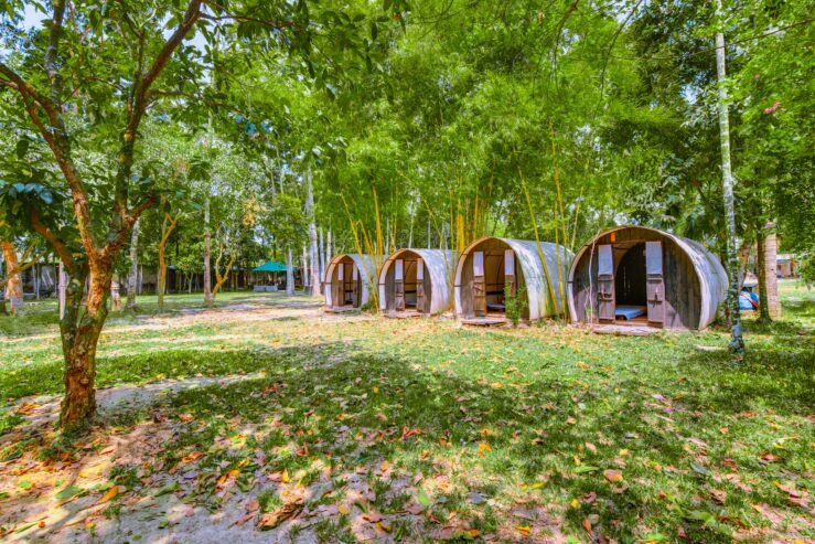 Syed Bari Resort , Gazipur