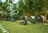 Syed Bari Resort , Gazipur