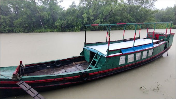 Mangrove Haven Resort Sundarbans