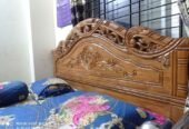 Segun khat 6/7 feet full box khat