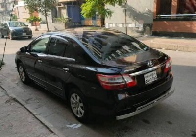 6m