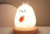 Cartoon Night Light
