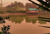 সাহেব বাড়ি রিসোর্ট, গাজীপুর