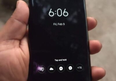 813