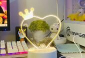 3D Queen Lamp