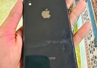 453183033_1245861210121616_8274283007078230550_n