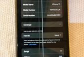 Apple IPhone 11 For Sale in Dhaka