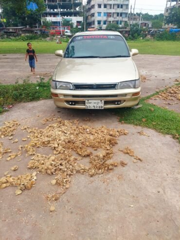 TOYOTA COROLLA E100 For Sale