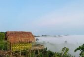 Camp IN Lama Resort in Bandarban Booking
