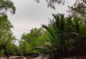 Sundarbans Tour Package Bangladesh