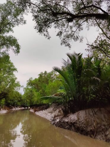 Sundarbans Tour Package Bangladesh