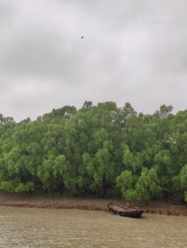 Sundarbans Tour Package Bangladesh