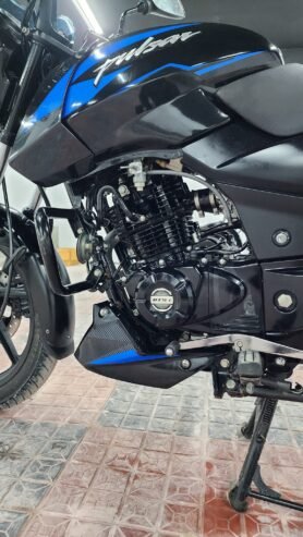 Pulsar 150 UG5 Single Disk 2024 Update Model
