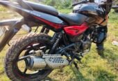 Pulsar Double Disk 2018 Mdoel For Sale
