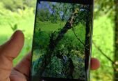 Redmi Note 13 Pro For Sale in Comilla