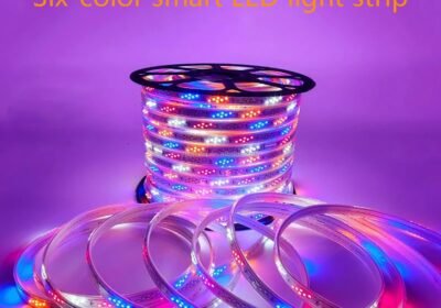 490485158_122130804074622644_6206274459895377596_n