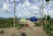 Camp IN Lama Bandarban Resort Booking