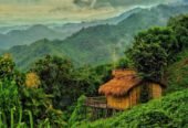 Camp IN Lama Bandarban Resort Booking