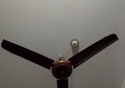 495529642_1188464859687223_6176197688147799877_n