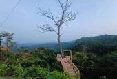 Camp IN Lama Resort Booking