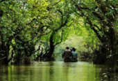 Ratarpul Tour Package in Sylhet