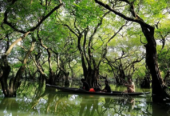 Ratarpul Tour Package in Sylhet